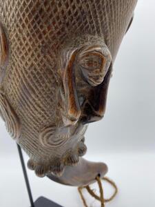 Rare DRC drinking horn from the Luba people. 