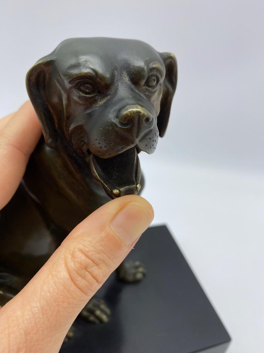 Antique 1900 bronze dog statue calling cart letter holder with moveable jaw