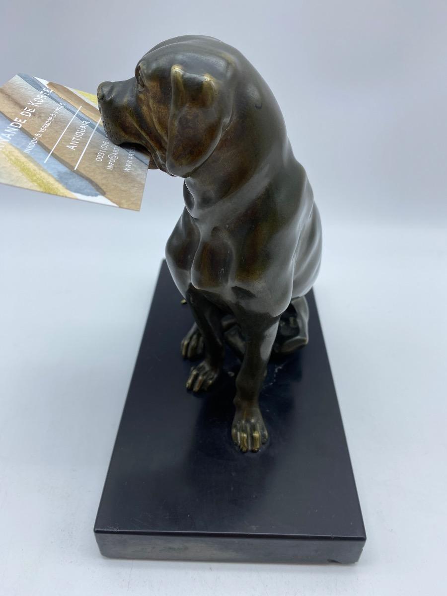 Antique 1900 bronze dog statue calling cart letter holder with moveable jaw