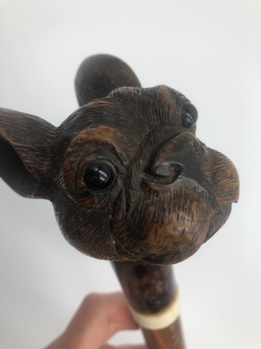 Antique Black Forest bulldog’s head walking stick cane