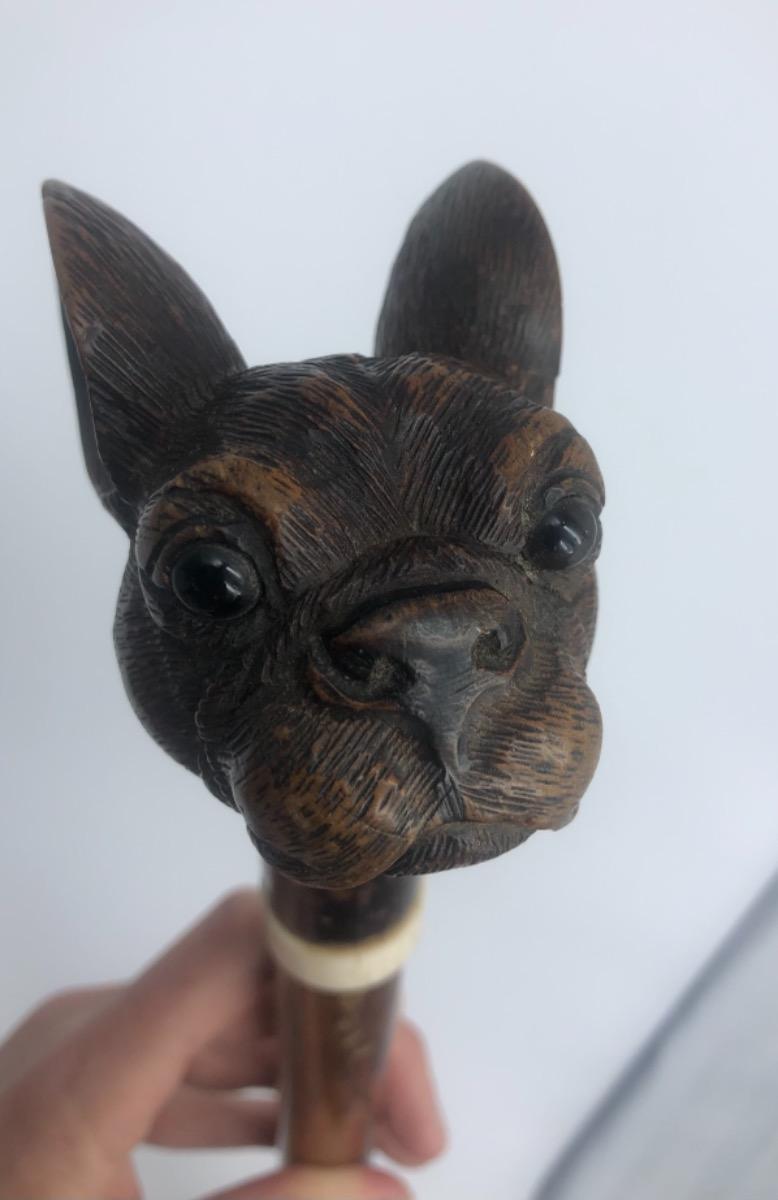 Antique Black Forest bulldog’s head walking stick cane