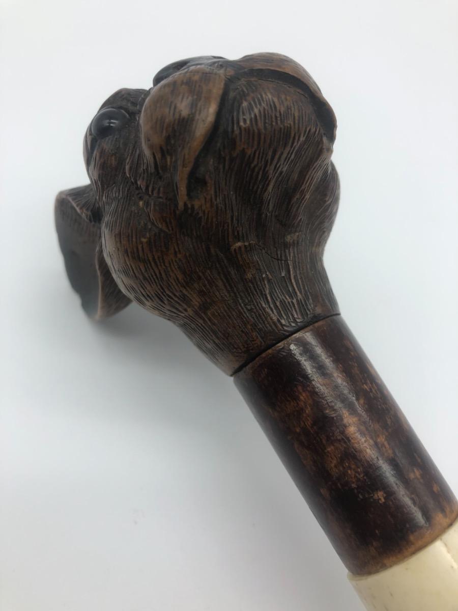Antique Black Forest bulldog’s head walking stick cane