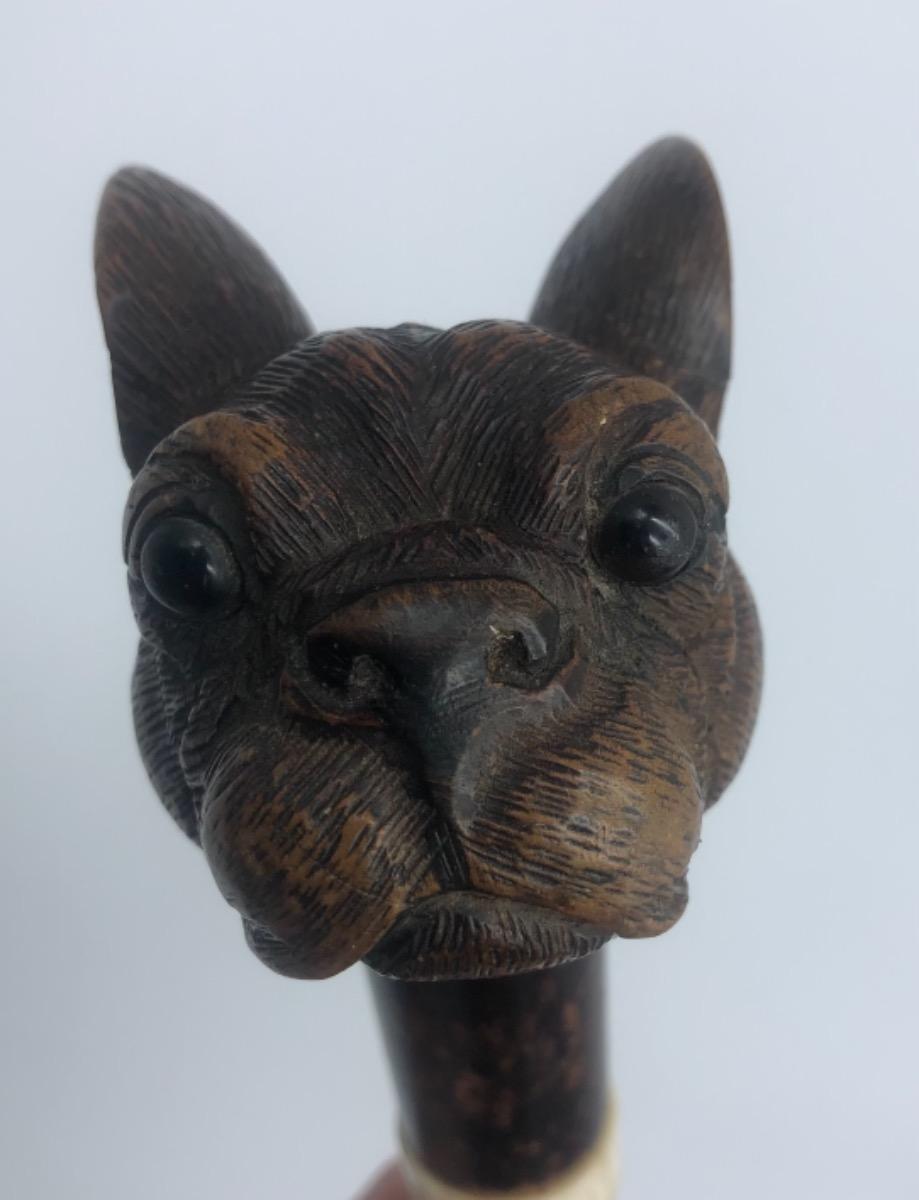 Antique Black Forest bulldog’s head walking stick cane