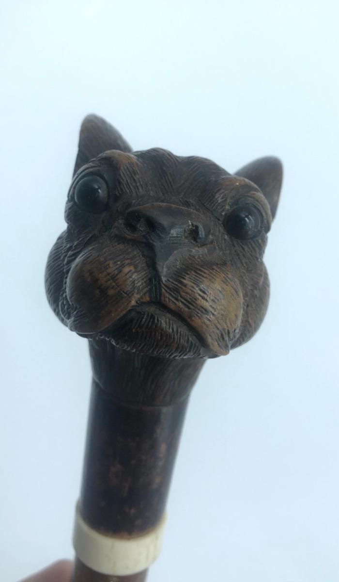 Antique Black Forest bulldog’s head walking stick cane