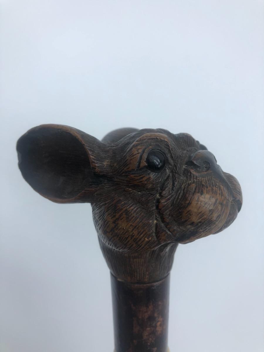 Antique Black Forest bulldog’s head walking stick cane