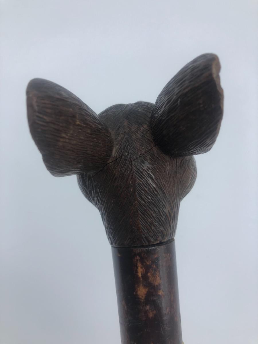 Antique Black Forest bulldog’s head walking stick cane