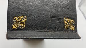 Second Empire leather Fleurs de Lys letterbox