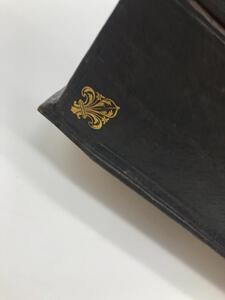 Second Empire leather Fleurs de Lys letterbox