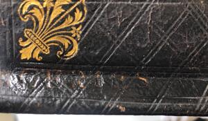 Second Empire leather Fleurs de Lys letterbox