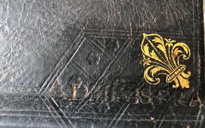 Second Empire leather Fleurs de Lys letterbox