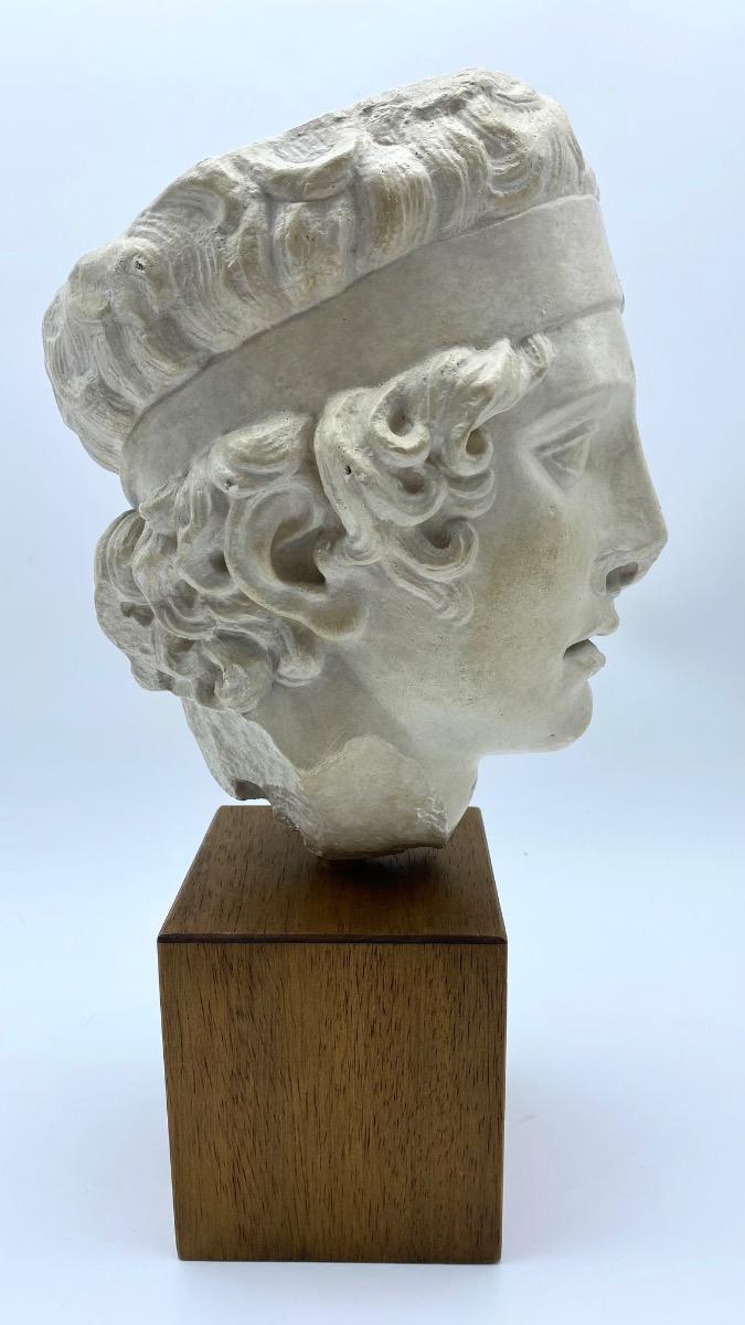 France plaster marble Roman head after Greek original Diadumenos 