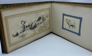 Antique collection of 22 ink animalier drawings in an album 