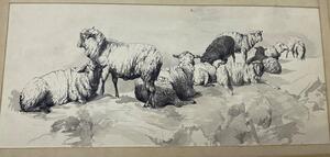 Antique collection of 22 ink animalier drawings in an album 