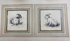 Antique collection of 22 ink animalier drawings in an album 