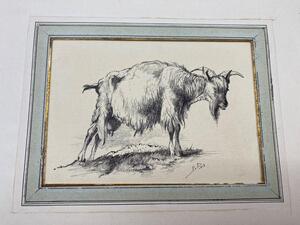 Antique collection of 22 ink animalier drawings in an album 