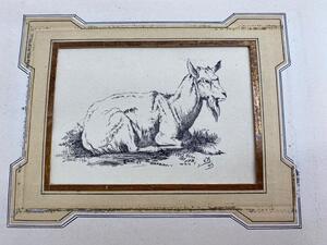 Antique collection of 22 ink animalier drawings in an album 