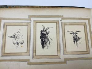 Antique collection of 22 ink animalier drawings in an album 