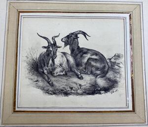 Antique collection of 22 ink animalier drawings in an album 