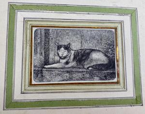 Antique collection of 22 ink animalier drawings in an album 