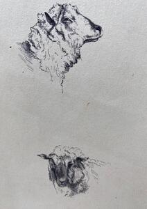Antique collection of 22 ink animalier drawings in an album 