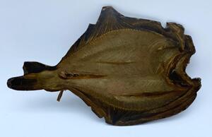 Rare XIX century antique Dutch Folk Art profile fish painting on fish shaped panel 